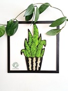 Sansevieria, prezent dla miłośnika kwiatów, zielony kwiat w doniczce