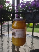 Miód lipowy 1200 gr Pasieka Grażka 2025