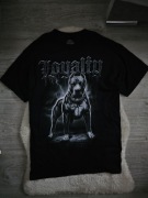 Koszulka Pitbull Rozmiar L Czarna koszulka pitbull