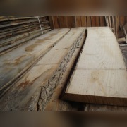 Sucha tarcica jesionowa, jesion suchy