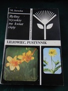 Liliowiec pustynnik Jarocka  PWRiL