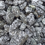 Grys Granitowy Dalmatian Kamień ozdobny ogrodowy Kora Marianna Jaworzno