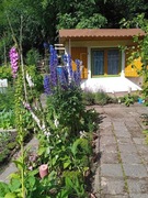 Ogródek działkowy ROD Perła Bytom