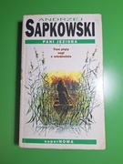 Wiedźmin Pani Jeziora