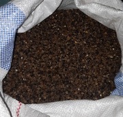 Nasiona gryki, gryka na poplon dla gołębi. 20kg