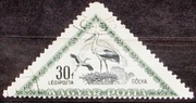Węgry 1952 r. Fauna Ptaki