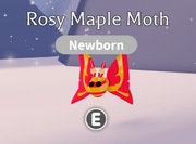 ROBLOX ADOPT ME Rosy Maple Moth
