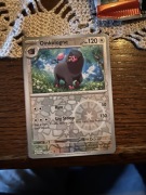 157/198 Oinkologne reverse holo