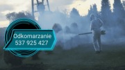 Odkomarzanie,dezynsekcja i dezynfekcja pomieszczeń