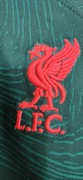 Koszulka t-shirt piłkarski  Liverpool Fc Nike oryginał sezon 22/23 