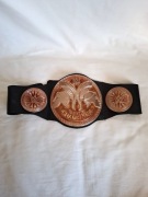 Pas WWE Tag Team Championship Mattel