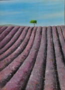 Pejzaż - Pole lawendowe- akryl na kartonie 50x70cm z 2003, 