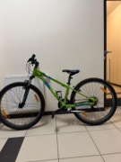 Rower dziecięcy Giant Revel XXS