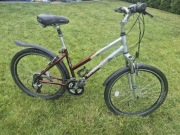 Rower unibike emotion 26'