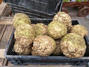 Seler 45 zł za 22.5 kg