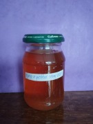 syrop z pędów sosny ok 150 ml    2025 r