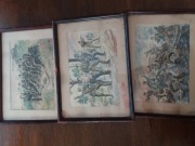 trzy akwarele wczesne LWP