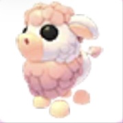 Angus Cow - Adopt Me Roblox