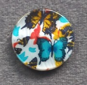 Masa perłowa koraliki motyle okrągła 2cm 2szt