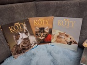 Koty album         