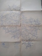 SCHEMATYCZNA MAPA SIECI AUTOBUSOWEJ WOJ. POZNAŃSKI