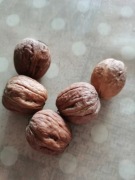 Orzechy włoskie 
