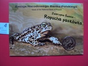 Moneta 2zł Ropucha Paskówka w blistrze jak na foto
