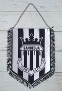 Duży Proporzec Sandecja Nowy Sącz Cracovia Czarni Jasło Stal Mielec !