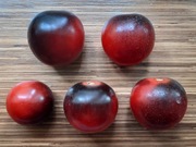 pomidor Dancing with Smurfs nasiona kolekcjonerskie