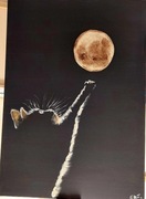 Koteczek 50x70 cm farby akrylowe