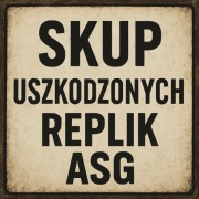 Skup uszkodzonych replik Asg