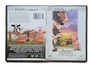 BABE ŚWINKA Z KLASĄ