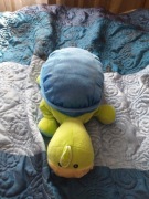 Żółw pluszak 