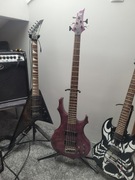 ESP Ltd F-155DX 