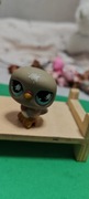 Littlest pet shop gołąb  #812