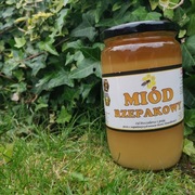Miód Rzepakowy 1000 g 