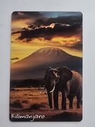 Magnes na lodówkę Afryka Tsavo Serengeti  Kilimandżaro Słoń Równik(34).