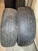 opony zimowe zeetex wp1000 195 65/R15 