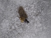 Termet Unico GCO-22-00 czujnik temperatury