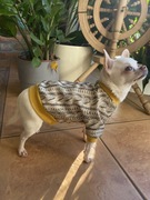 Ubranko w kwiaty dla psa - rozmiar S 