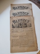 XIX wieczny magazyn dla kobiet Bluszcz nr 52 1891, nr 32, 48 1893 
