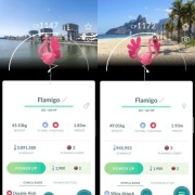 Flamigo z Tłem Miasta | Kolonia DE / Rio BR | nagroda za pieczątki | PoGO