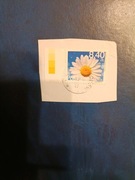 Rok.2020.Fi.5054.na wycinku z listu