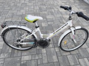 Rower Saveno 24 cali