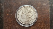 Stany Zjednoczona Głowa Morgan Dollar 1895 