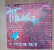  Grupa Televizor-6 ryb