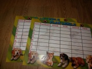 Plan lekcji starszy, brokatowany