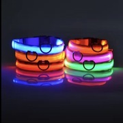 Obroża dla psa Ledowa 