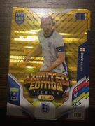 Panini 2026 Limited Edition Platinum GOLD Kane +Fan bez powtórek nowe