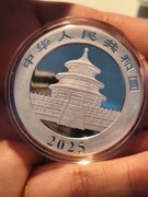 Chińska Panda 30 gramów Srebra 2025